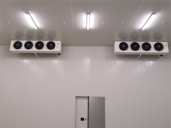 食品公司內建造一個1000平包子、水餃速凍冷庫費用是多少？