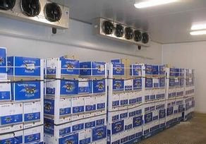 新疆大型哈密瓜保鮮冷庫設(shè)計(jì)造價(jià)預(yù)算