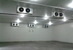 大型生姜冷庫安裝設(shè)計(jì)