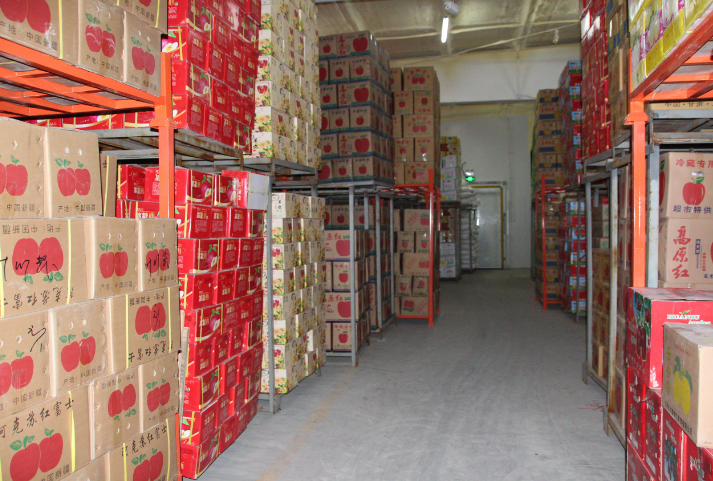 1000噸蘋(píng)果冷藏庫(kù)庫(kù)內(nèi)圖片