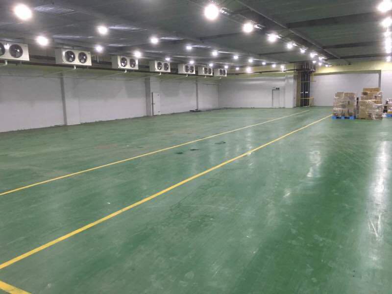 800平蘋果冷庫設計，水果冷藏庫安裝