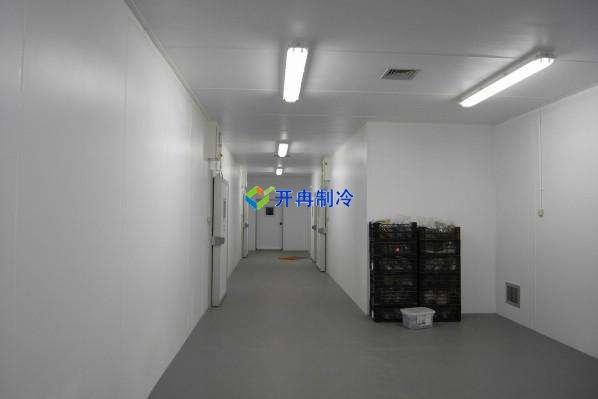 定制酒店冷凍庫、食堂雙溫庫、餐飲冷藏庫工程造價
